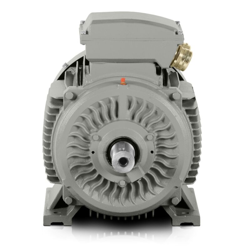 Motore elettrico 250kW 3LC IE3 400V/690V 1000 giri/min Consegna veloce Italia