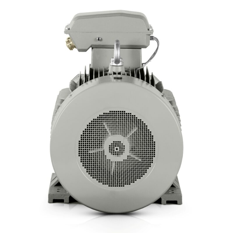 Motore elettrico 250kW 3LC IE3 400V/690V 1000 giri/min Consegna veloce Italia