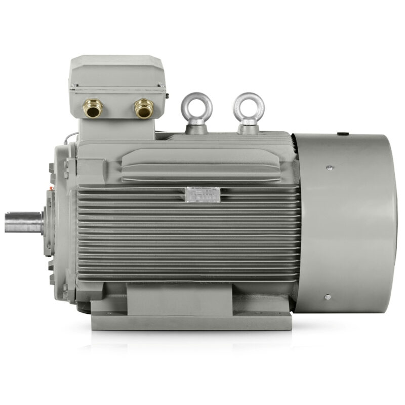 Motore elettrico 355kW 3LC IE3 400V/690V 1000 giri/min Consegna veloce Italia